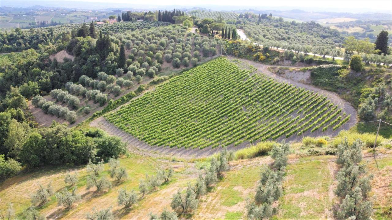 Tenuta Barbadoro Agriturismo Apartment Монтеспертоли Экстерьер фото